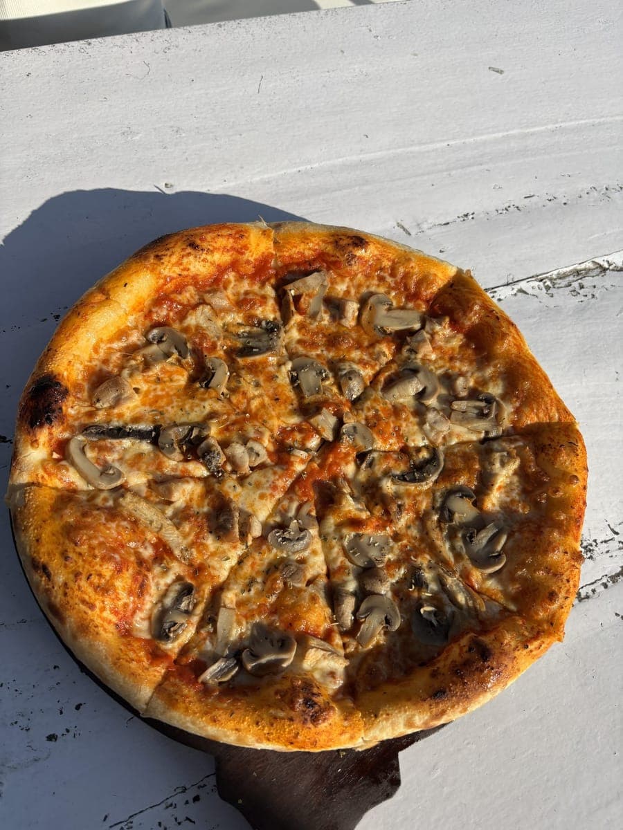 Mushroom pizza